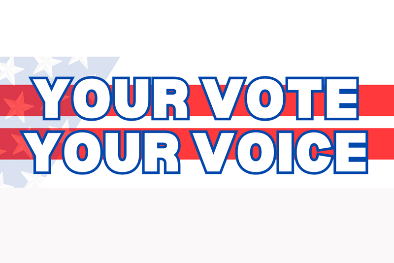 Voter Empowerment